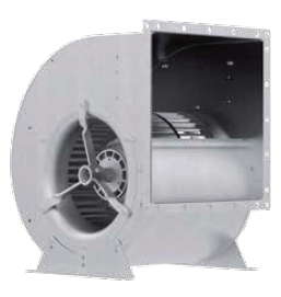 RD22P-4DW-4F-1L1s.png