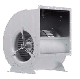RD22P-4EW-4I-1L1t.png