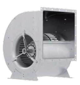 RD25P-4D-4I-1L1s.png