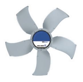 FN091-ZIQGLA5P1esipj5uee4xb.jpg