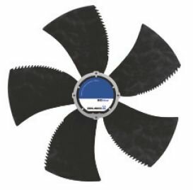 FN080-ZIDDGA5P4.jpg