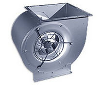 RD-Akk1u2y.jpg