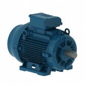 Электродвигатель WEG W22 315S/M 132 кВт DIN чугунный 1000 об/мин