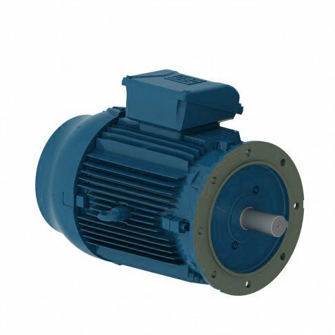 Электродвигатель WEG W22 315S/M 132 кВт DIN чугунный 1500 об/мин