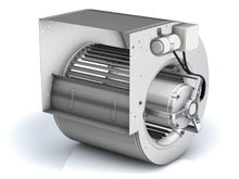 DD-1.jpg