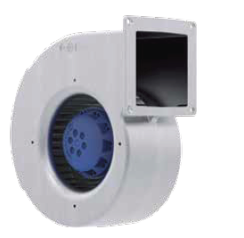 RG16S-2EP-WD-AR1s.png
