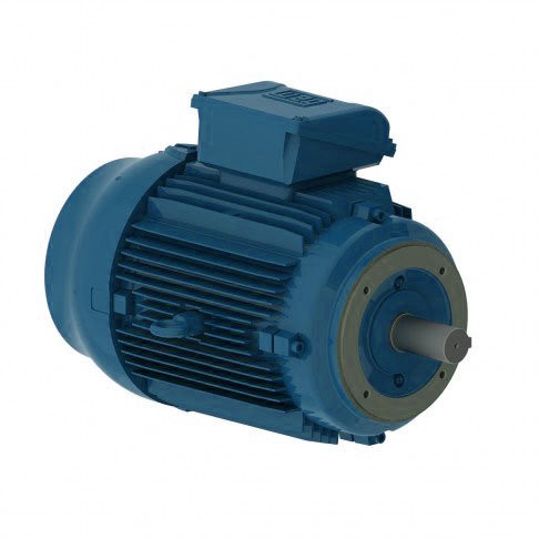Электродвигатель WEG W22 315S/M 160 кВт DIN чугунный 3000 об/мин