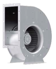 RG20P-4DK-2C-1R1t.png