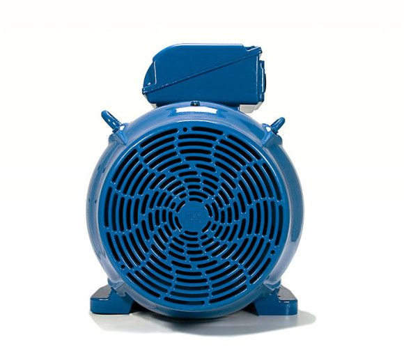 Электродвигатель WEG W22 160M 5,5кВт трехфазный