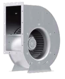 RG31P-4DK-6F-1R1f.png