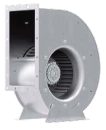 RG31P-4DK-6K-1R1.png