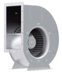 RG31P-4EK-6N-1R1s.png