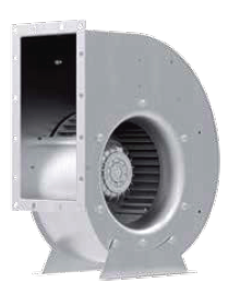 RG40P-4DK-7Q-1R1s.png