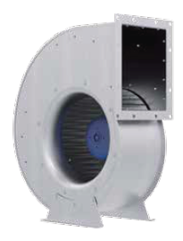 RG25R-ZIK-DC-4R1s.png