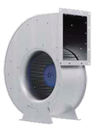 RG28R-ZIK-DC-4R1tpc.png