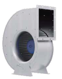 RG31R-ZIK-DG-4R1tq6.png